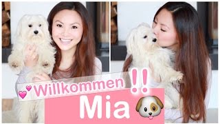 WILLKOMMEN MIA  MEIN MALTESER HUND  ERSTAUSSTATTUNG HAUL  Mamiseelen [upl. by Asor]