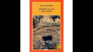 Yaşar kemal🌺Binboğalar efsanesi🌺 PART 11 roman seslikitap yaşarkemal чтение [upl. by Elizabet794]