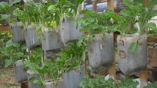 How to make a simple drip garden  Farm Kenya [upl. by Asiram]