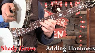 Shady Grove 3Finger Banjo Lesson in D Minor [upl. by Charleton]