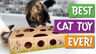 CAT AMAZING  Best Cat Toy Ever  Puzzle Toy amp Feeder for Cats [upl. by Adrial]