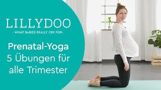 Schwangerschaftsyoga – 5 Übungen für alle Trimester  LILLYDOO Yogalehrerin Denise [upl. by Ecinuahs]