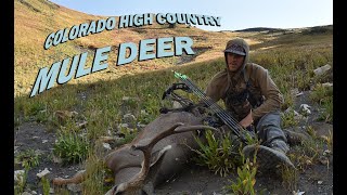 2022 Colorado High Country Mule Deer [upl. by Tanhya]