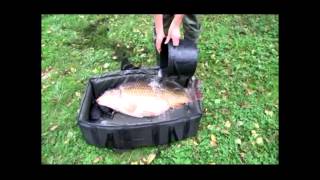 Big Carp Adventures Autumn Harvest 2 [upl. by Neff]