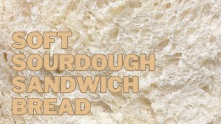 Soft sourdough sandwich bread recipe  step by step beginners guide to making homemade sourdough [upl. by Ankeny]