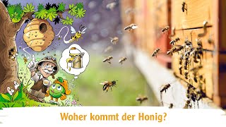 Woher kommt der Honig [upl. by Enajyram8]