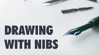 My Favorite Nibs For Drawing [upl. by Sera]