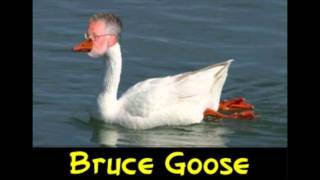 Stan Zemanek Vs Bruce the Goose Part 2 [upl. by Amol212]