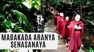 Madakada Aranya Senasanaya [upl. by Ahsineb436]