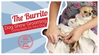 Dog Grooming How To Trim Nails On A Difficult Dogs [upl. by Selrhc]