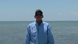 Texas Fishing Tips Fishing Report 1825 Port Aransas Area With Capt Monte Graham [upl. by Tal651]