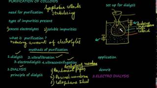 Dialysis purification of colloids class 12 chemistrysurface chemistryvideo 14 [upl. by Babcock]