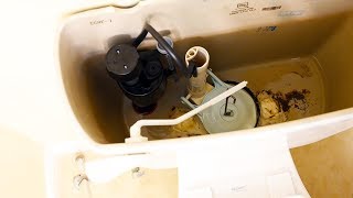 How to Change a Toilet Flapper Fix Running Toilet [upl. by Bullock]