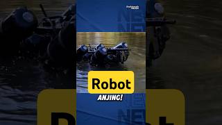 Robot Anjing Amfibi [upl. by Anihpesoj]