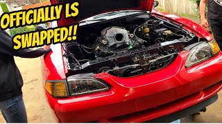 THE SWAP BEGINS Ford Mustang LS Swap Part 1  Engine amp Trans Installed [upl. by O'Donnell434]