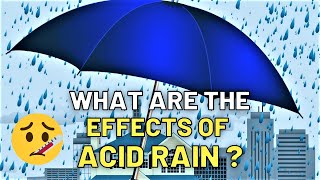 The effect of acid rain to the environment to buildings to humans [upl. by Mori]