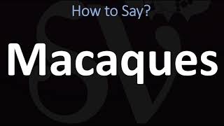 How to Pronounce Macaques CORRECTLY [upl. by Dahsar]