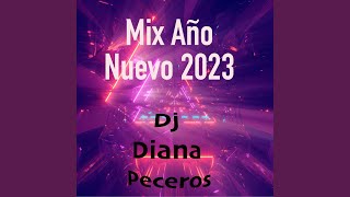 Mix Año Nuevo 2023 [upl. by Rose]