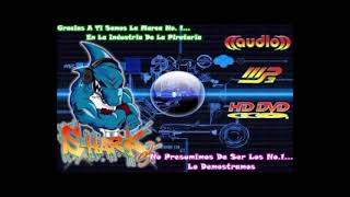 Descargar efecto de sonido Shark dj en mp3 [upl. by Suelo]