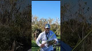 Florida Crappie Fishing fishing crappie florida [upl. by Huberman]