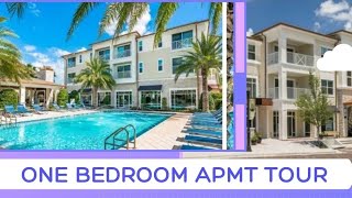 Luxury Apartment in Westchase Tampa Apartment Tour Florida  Marq Highland Park  Cute n Cozy Aptmt [upl. by Aruol]