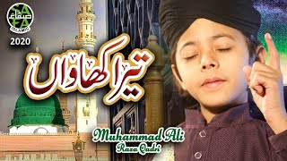 New Naat 2020  Muhammad Ali Raza Qadri  Tera Khawan  Official Video  Safa Islamic [upl. by Apfel623]