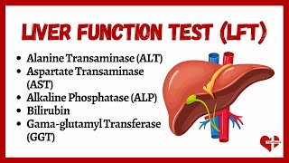 Liver Function Tests LFTs  liver function test interpretation  Animation  MultiLanguages [upl. by Dis]