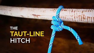 How to Tie the Taut Line Hitch Knot in UNDER 60 SECONDS  How to Tie a Hitch Knot [upl. by Castara453]