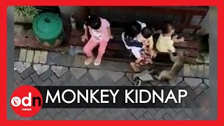 BicycleRiding Monkey Attempts to Kidnap Toddler in Shocking Video [upl. by Yla]