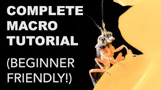 Complete Macro Photography Tutorial for Beginners [upl. by Yesoj]