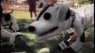 Petscom Sock Puppet Commercial quotDog Parkquot [upl. by Camala]