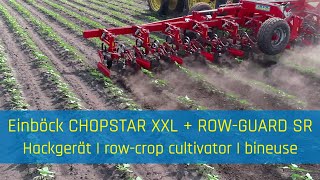 Hackgerät  Rowcrop cultivator  Bineuse EINBÖCK CHOPSTAR XXL  ROWGUARD SR [upl. by Mozart]