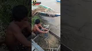 Crocodiles enter residents villages part 2 buayariska crocodile buayaompong [upl. by Ardiedal]