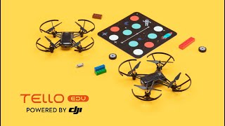 DJI Tello EDU  Swarm Demo [upl. by Tiertza]