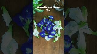 Butterfly pea flower tea  colorful herbal delight [upl. by Yelsek]