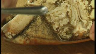 BBC  Rick Steins Seafood Odyssey  Special Features  Rick cooks fish [upl. by Wolfe114]