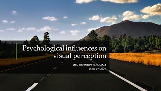 Psychological Influences On Visual Perception [upl. by Elletsyrc]