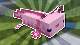 Everything There is to Know About Axolotls in Minecraft 121 [upl. by Ajidahk378]