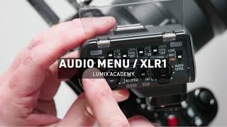 How to get great audio with LUMIX  LUMIX Academy  S5 [upl. by Onairelav]