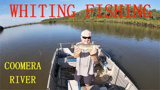 COOMERA RIVER FISHING 31ST JAN 2025 [upl. by Nawyt]