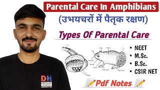 Parental Care In Amphibians  Types Of Parental Care  Amphibian  By Dadhich Sir [upl. by Gombach559]