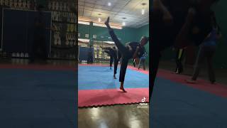 Japura TKD japura tkd taekwondo martialarts [upl. by Haerdna]