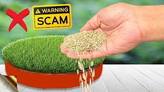 6 SECRETS TO GROW LAWN GRASS FROM SEED  Beware of Seed Scams [upl. by Dobrinsky]