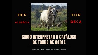 Como interpretar o catálogo de central de IA de touros de corte [upl. by Idnat]