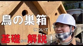 小鳥の巣箱 基礎から解説！ 野鳥観察 巣箱） [upl. by Clova]