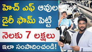 HF Cow Farming in Telugu  How to Start HF Cow Farming  HF Cow Milk Per Day  HF Cow Benefits [upl. by Ailekat]