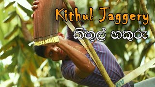 How to prepare quotKithul Jaggeryquot  කිතුල් හකුරු [upl. by Supen]