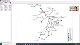 Haplotype Network using POPART Tagalog [upl. by Dedra]