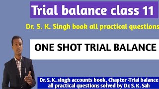 Trial balance for class 11  All practical questions of Dr S K Singh book  ONE SHOT class [upl. by Nnawaj]