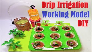 drip irrigation working model 3d science project  DIY using paper cup and cardboard  howtofunda [upl. by Marysa]